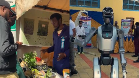 Nairobi Trade Fair 2026: What to see, ticket prices and key attractions