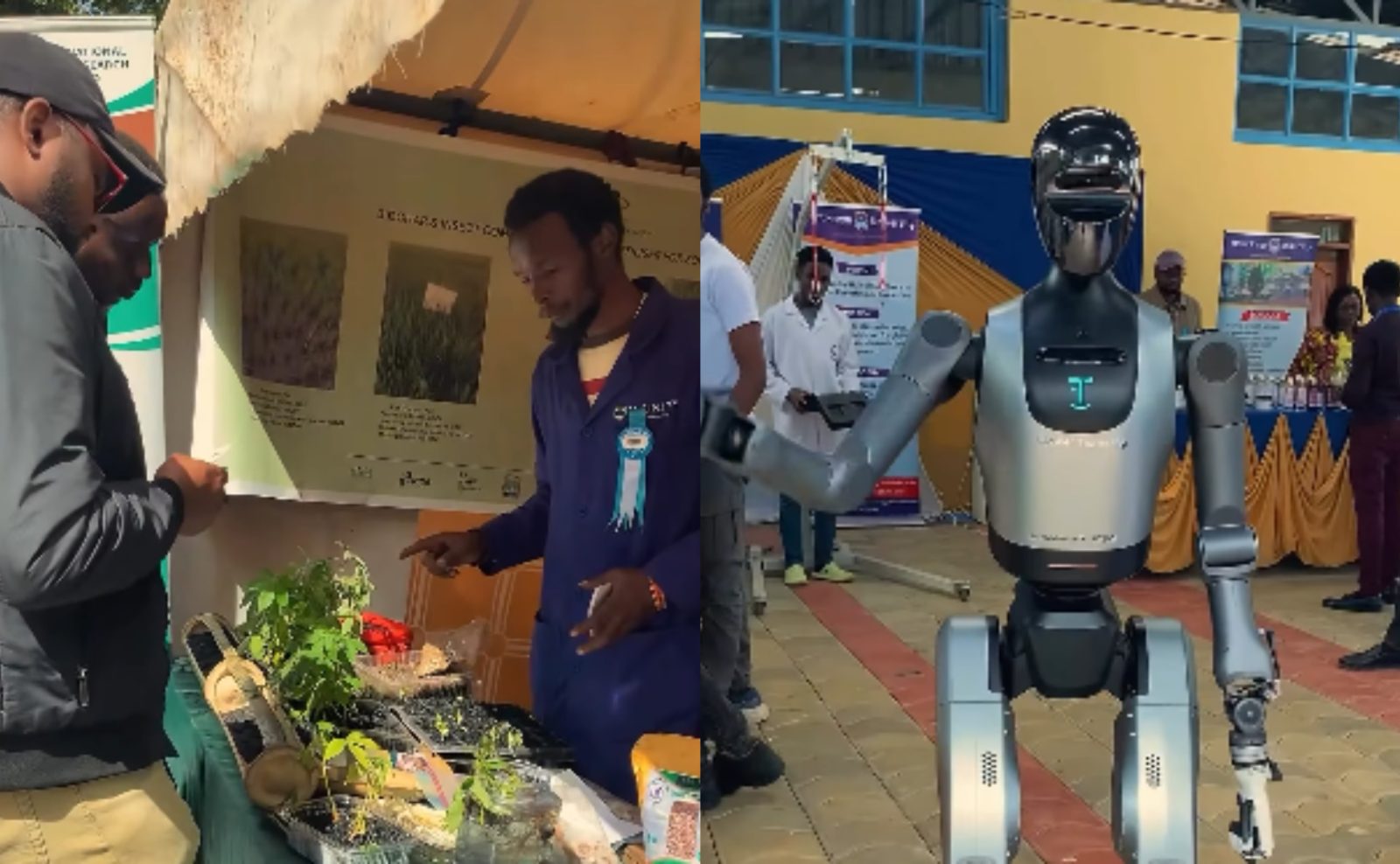 Nairobi Trade Fair 2026: What to see, ticket prices and key attractions