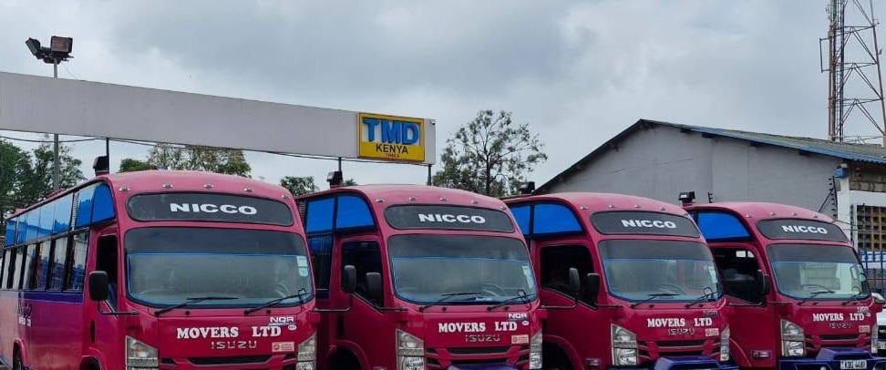 A fleet of Nicco Movers buses parked