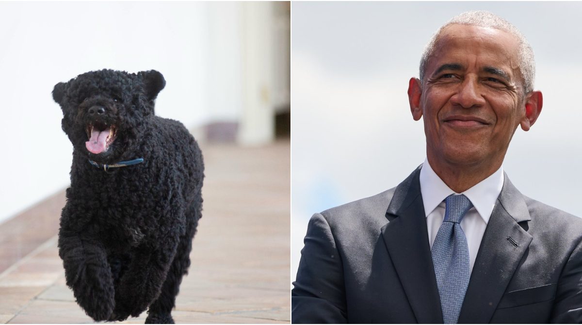 Barack Obama mourns beloved dog Sunny after 13 years with his family