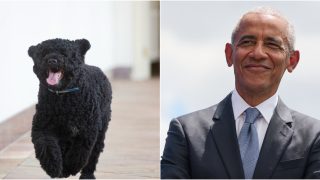 Barack Obama mourns beloved dog Sunny after 13 years with his family