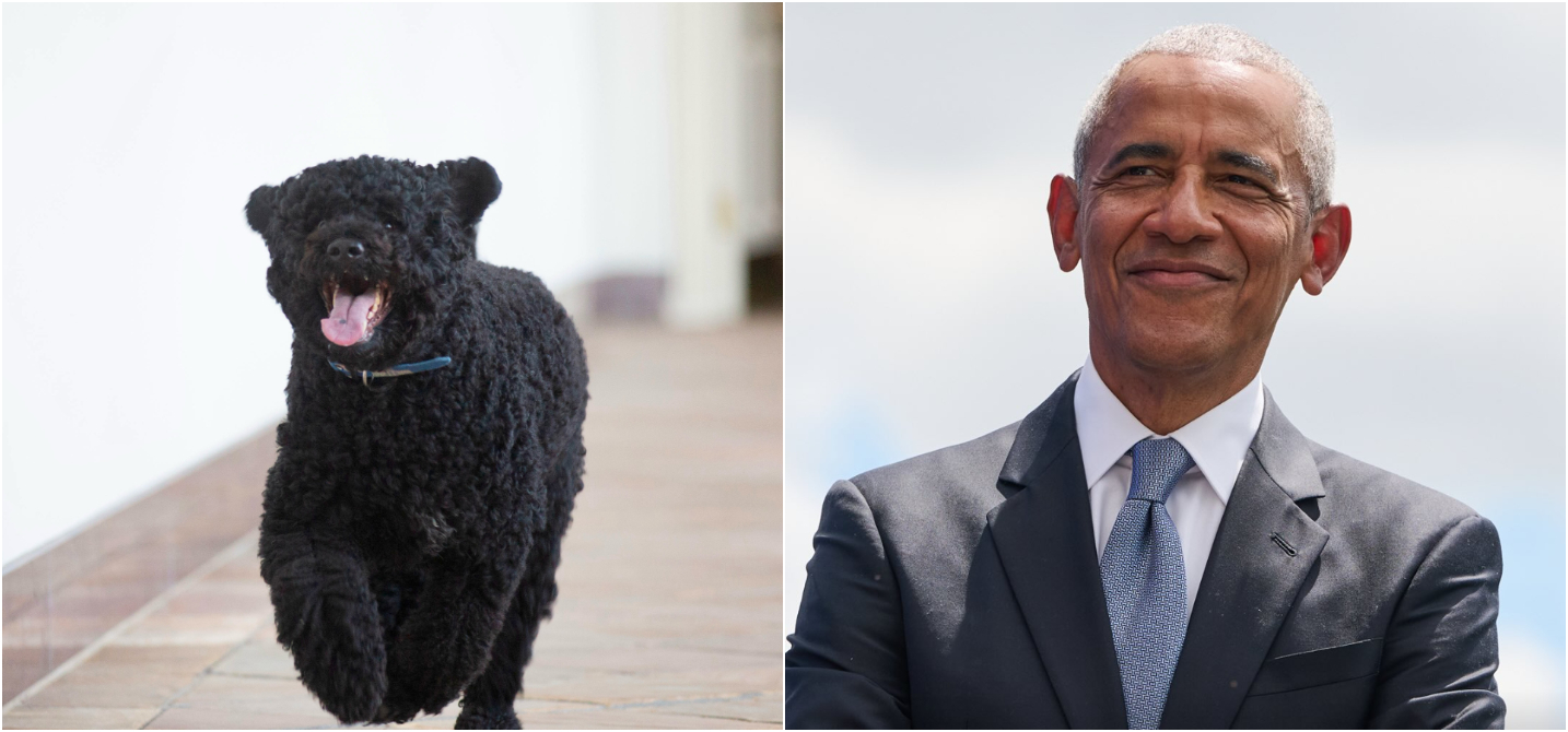 Barack Obama mourns beloved dog Sunny after 13 years with his family