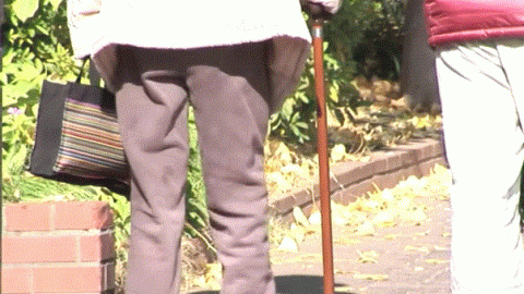 An old woman walking with a stick. PHOTO/Screengrab by K24 Digital