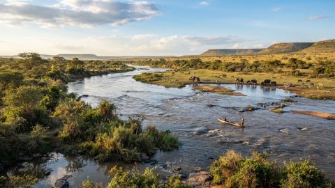 From hospitals to rivers: Experts warn of growing antibiotic resistance threat