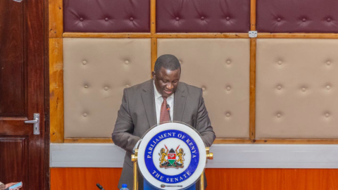 Sports CS Salim Mvurya appearing before the Senate to respond to Parliamentary Questions on matters relating to Youth Affairs, the Creative Economy and Sports on Wednesday, September 23, 2026. PHOTO/https://www.facebook.com/GovernorSalimMvurya
