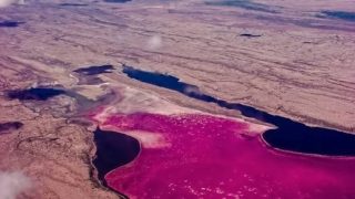From glass to detergents: Everyday products linked to Kenya’s Lake Magadi soda ash