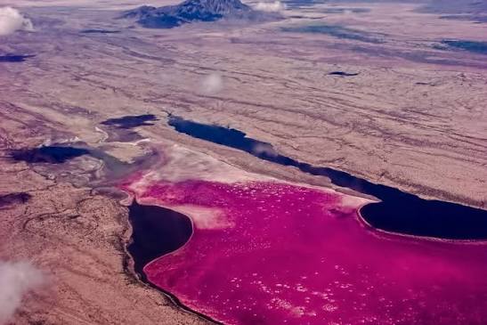 From glass to detergents: Everyday products linked to Kenya’s Lake Magadi soda ash