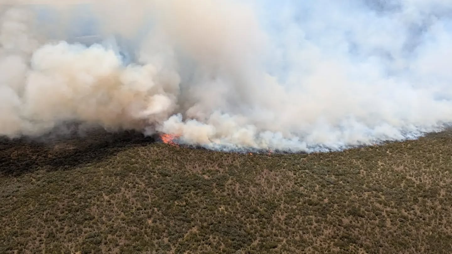 Huge fire ravages Mt Kenya for 6 days as organisations appeal for support to put out flames