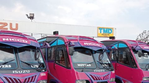A fleet of Nicco Movers buses parked. PHOTO/https://www.facebook.com/Niccomovers