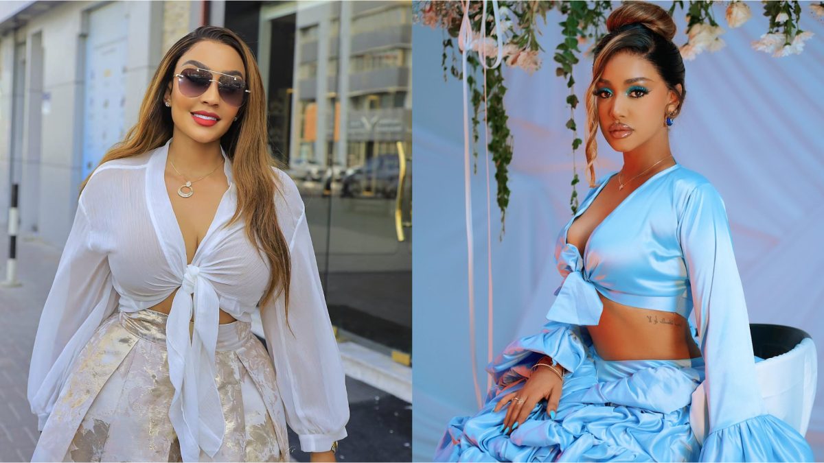 Tanasha sends birthday love to fellow Diamond Platnumz baby mama Zari